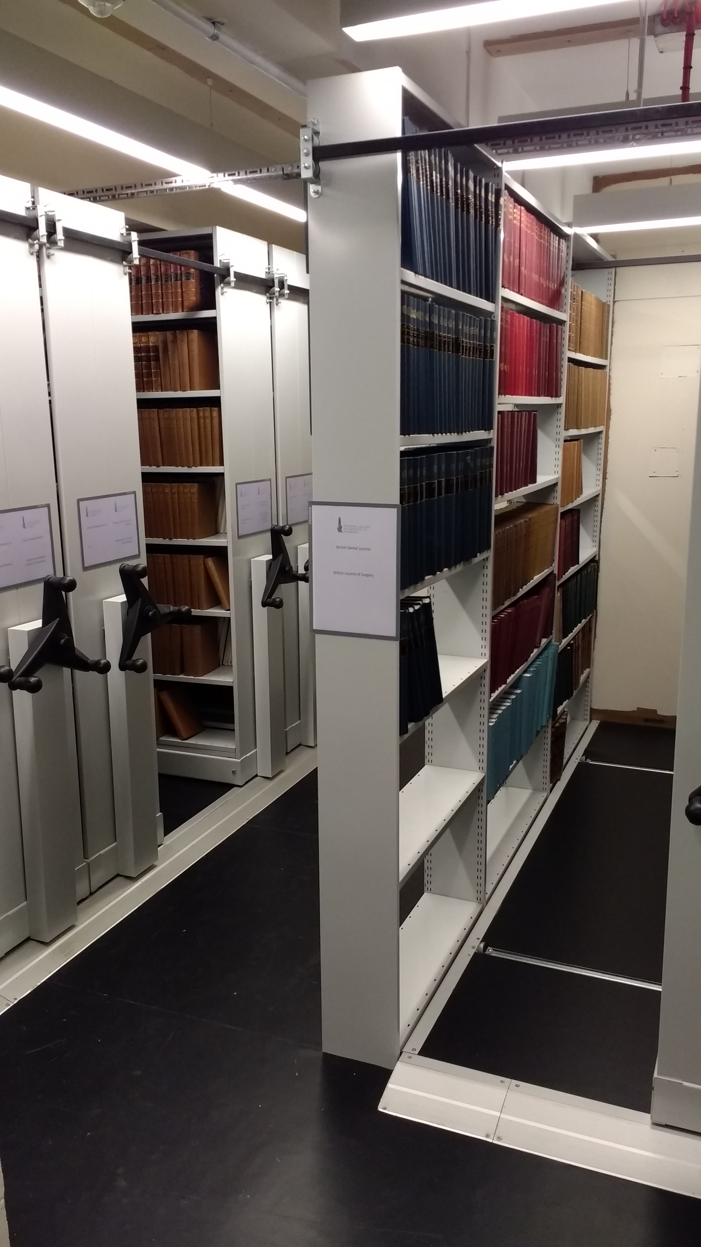 Library and Archive Basement
