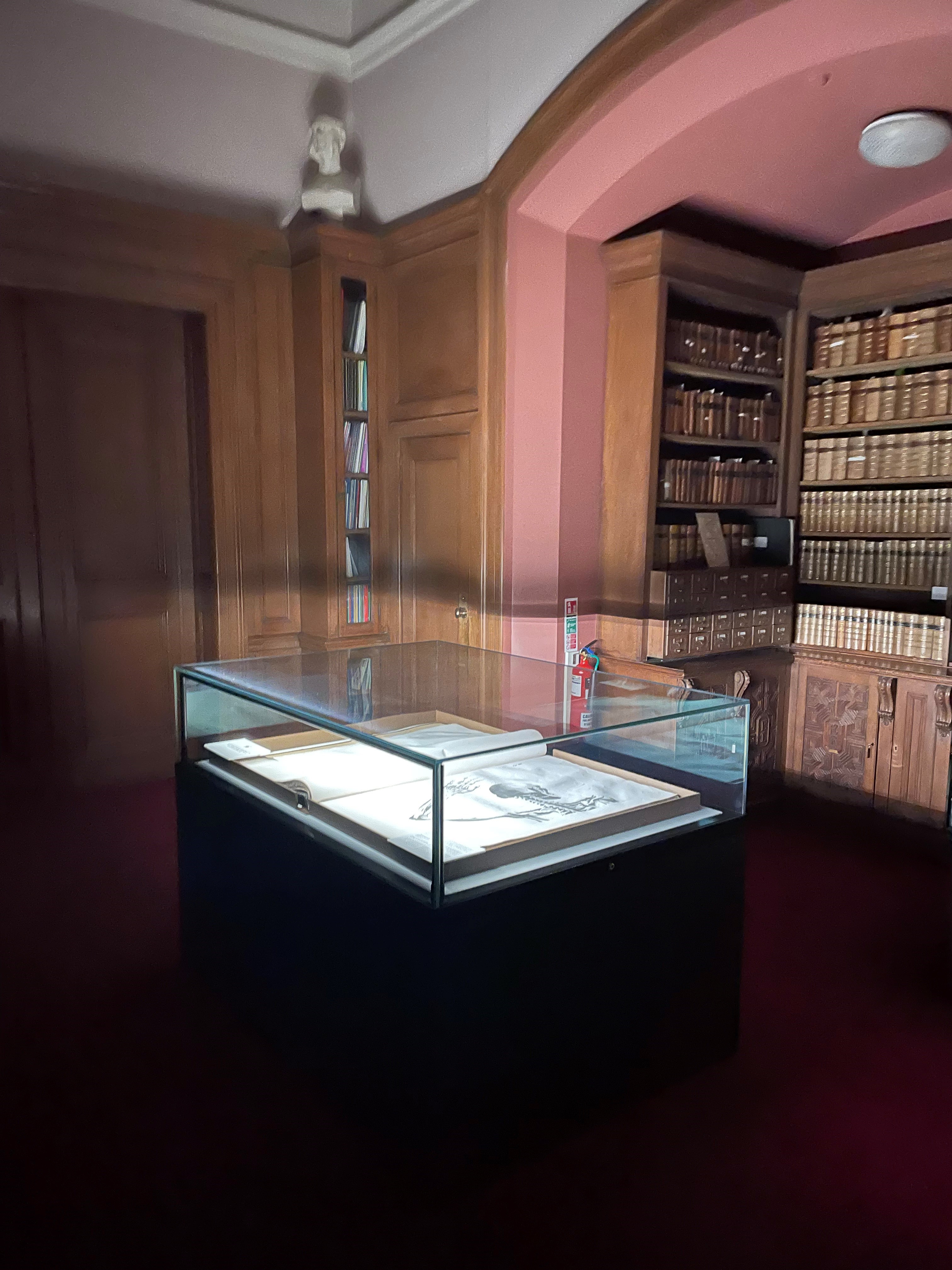 Library and Archive Middle Room Antommarchi Case