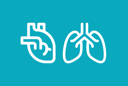 Heart and Lung