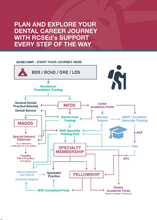MFDS Career Pathway