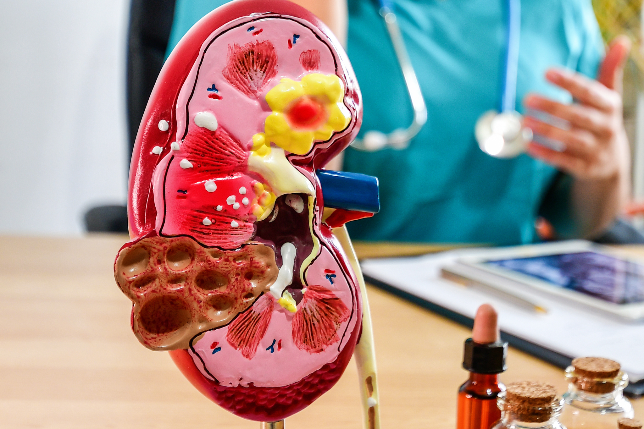 The Royal College of Surgeons of Edinburgh - Urology 