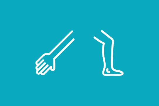 Limbs, Arms and Legs