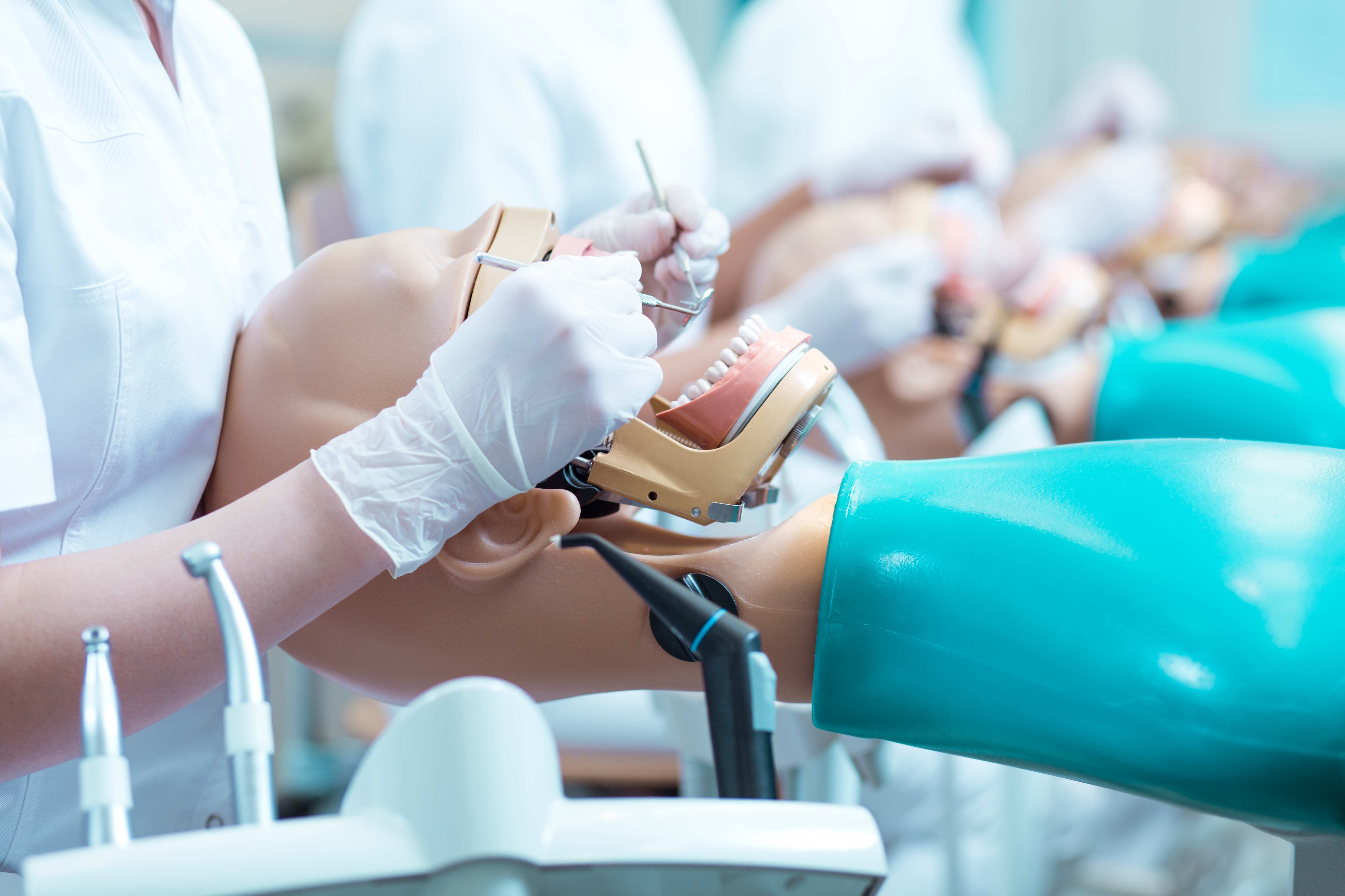 Visit Faculty of Dental Trainers 